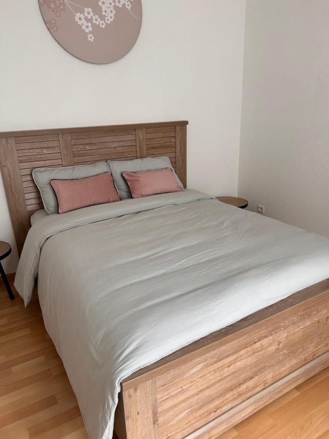 Appartement 1 Chambre Rue Faubourg De Besancon Montbéliard Exteriér fotografie